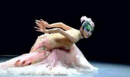 杨丽萍孔雀舞视频,舞动生命，绽放东方之美